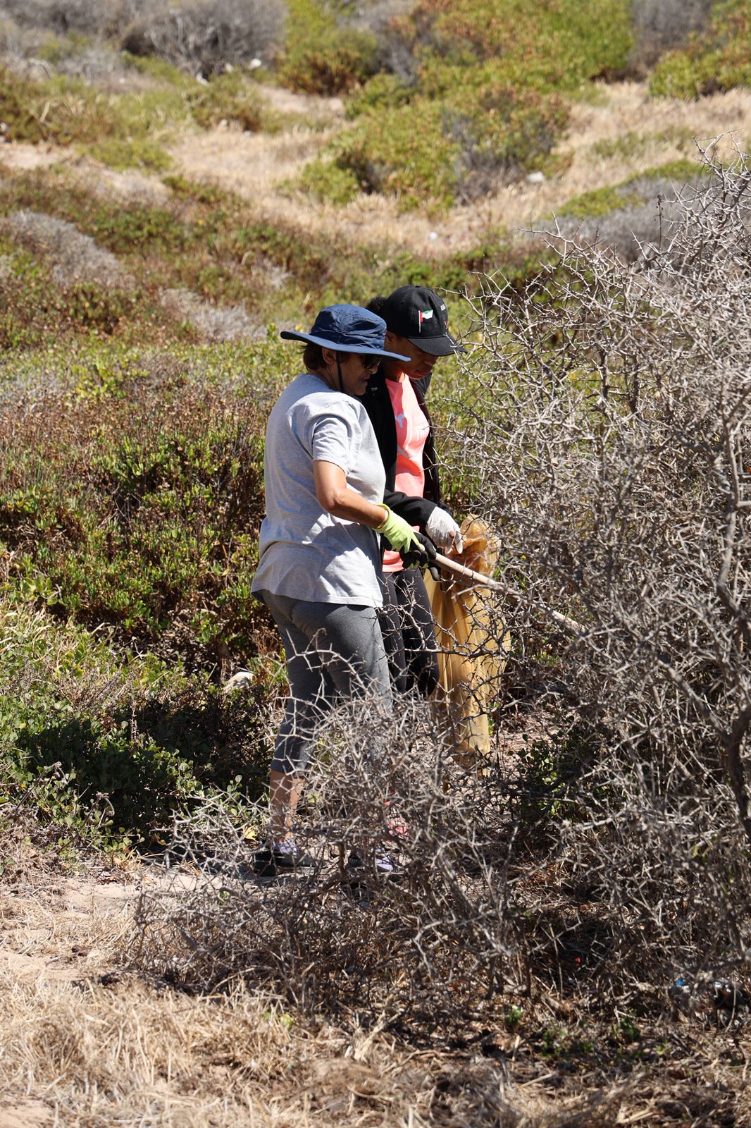 Volunteers picking litter from coastal fynbos
