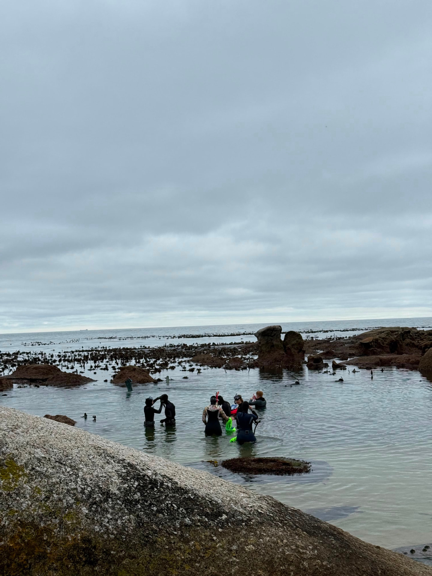 Snorkellers gathering in a tidal pool before a cleanup swim